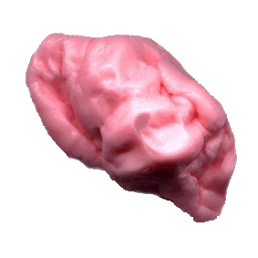 Archivo:Chicle 2.gif