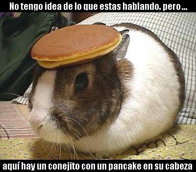 Archivo:Bunny pancake traduccion.jpg