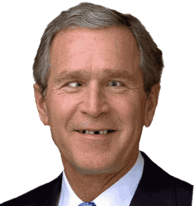 Archivo:Bush1.gif
