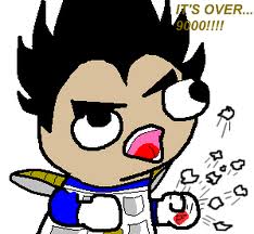 Archivo:FSJAL vegeta.jpg