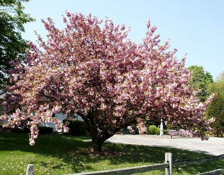 Archivo:Habitat enrique.jpg