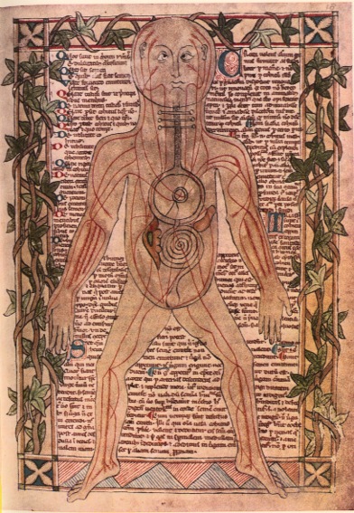 Archivo:Anatomia del corpo humano.jpg
