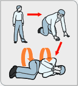 Archivo:Expl vis drop roll.gif