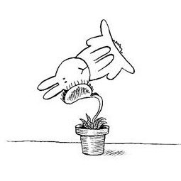 Archivo:Bunny suicide 09.jpg