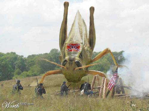 Archivo:Bad crick.jpg