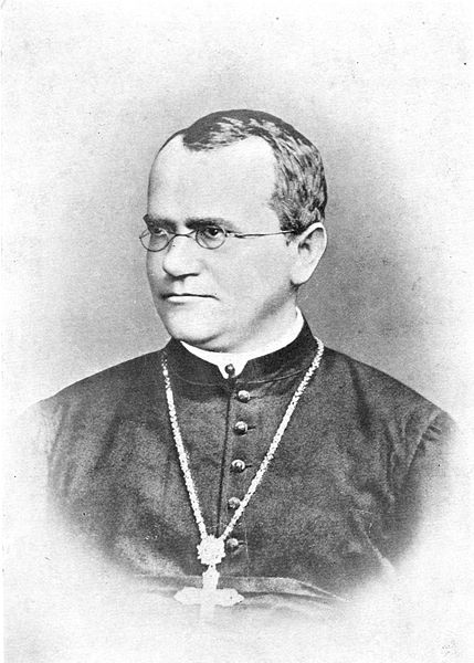 Archivo:Gregor Mendel Monk.jpg
