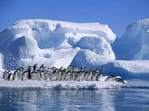 Archivo:Antartica 002.jpg
