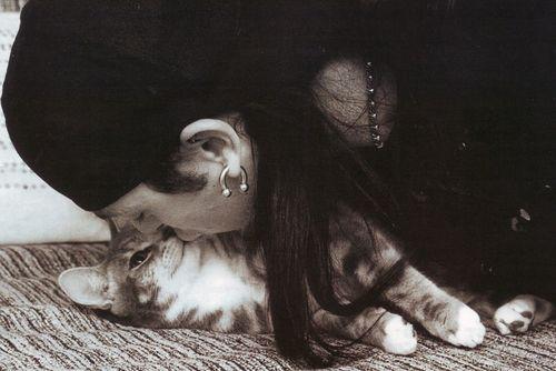 Archivo:BFV gatito.jpg