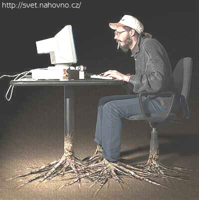 Archivo:Hacker raiz.jpg