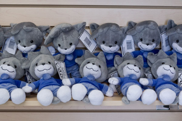 Archivo:650 1170.jpg