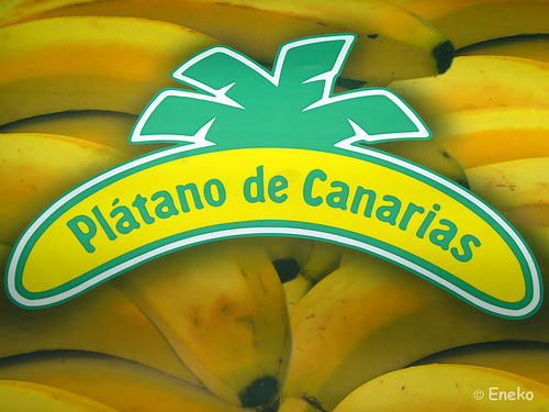 Archivo:BananaEscudo.jpg