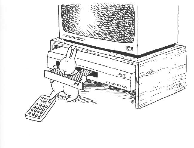 Archivo:Conejo suicida 6.jpg