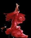 Archivo:Flamenco-1-.jpg