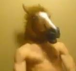 Archivo:Senor caballo.jpg