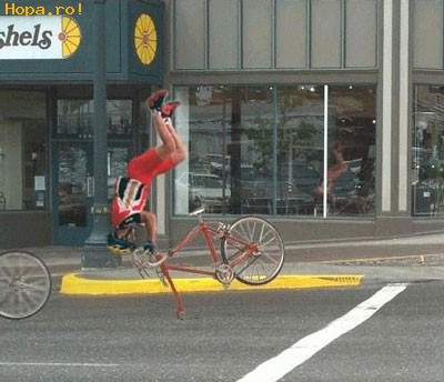 Archivo:Gran ostion 333.jpg