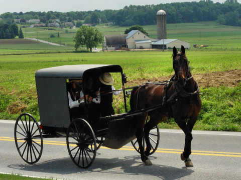 Archivo:Amish.jpg