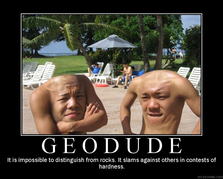Archivo:Geodude52.jpg