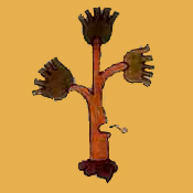 Archivo:Glifo Cuernavaca.jpg