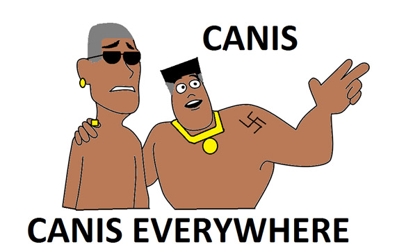 Archivo:Canis canis everywhere.jpg