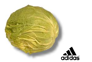 Archivo:Cur repolho.png