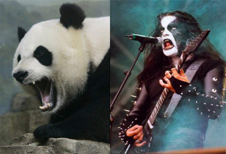 Archivo:Black natural.jpg