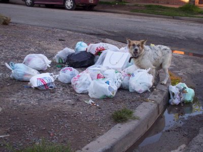 Archivo:Comida gratis.jpg