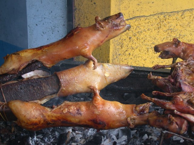 Archivo:Cuy roasting(1).jpg