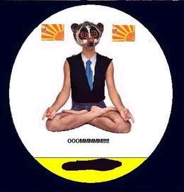 Archivo:Meditacionlemur.jpg