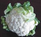 Archivo:Coliflori.jpg