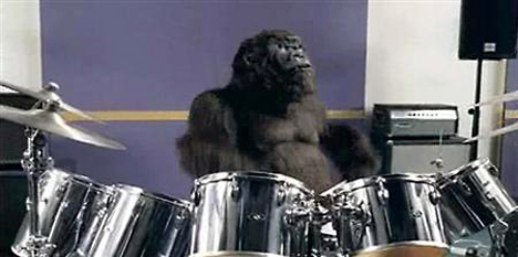 GorillaDrumsL 468x233.jpg