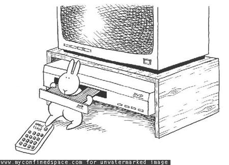 Archivo:Bunny suicide.jpg