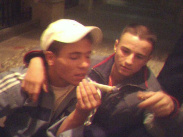 Archivo:Cani porro.jpg