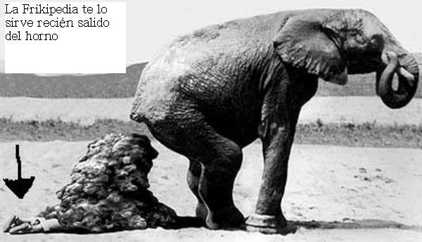 Archivo:Cacaelefante.jpg
