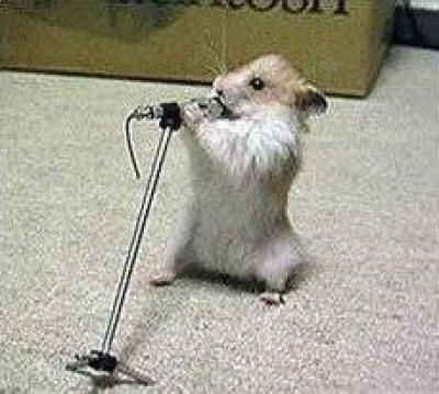 Archivo:Hamstersinger.jpg