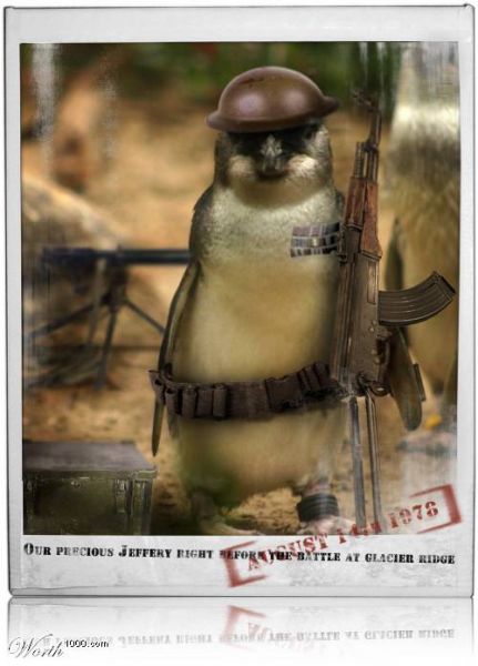 Archivo:302223BgIF w-1-.jpg