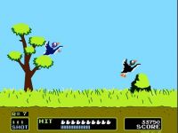 Duck Hunt3.jpg