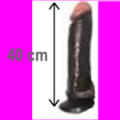 Miniatura de la versión del 09:43 25 ago 2024