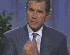 Bush2b.gif