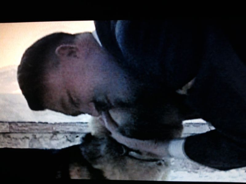 Archivo:Hitler con su perra.jpg