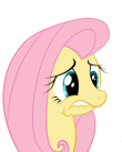Fluttershy.png