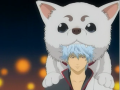De Gintama, la serie que me estoy viendo (basta con la cabeza del perro moridendo a Gintoki)