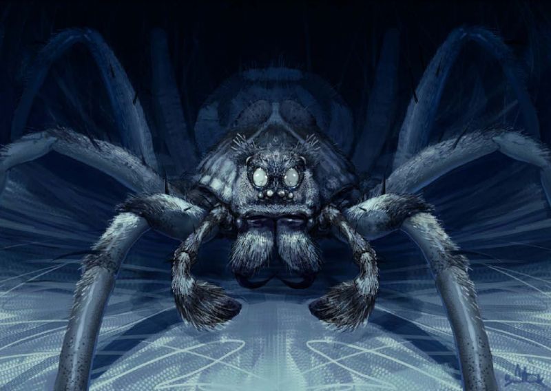 Archivo:Aragog.jpg