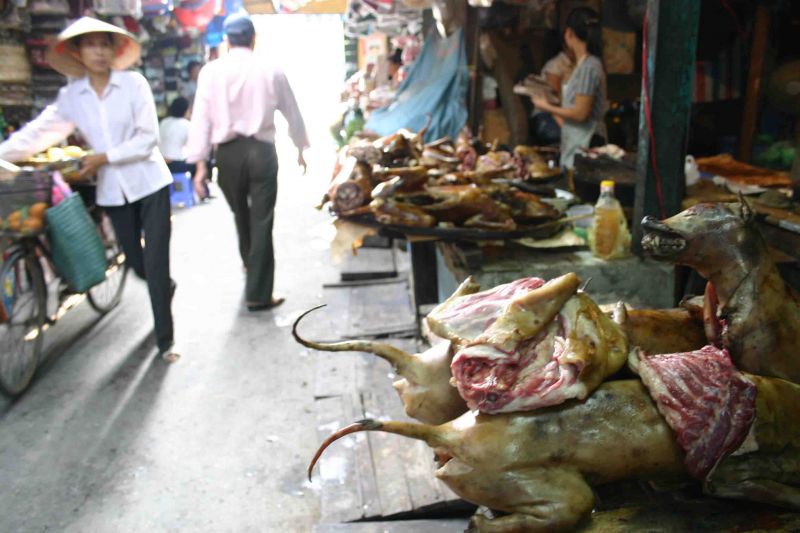 Archivo:Hanoi-(Mercado-de-carne-de-perro)5b.jpg
