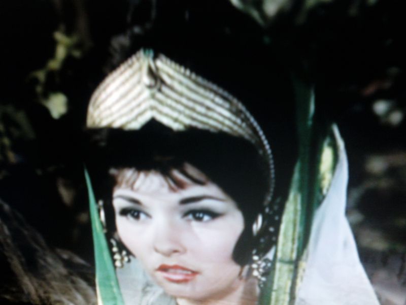 Archivo:Hembra iberica.jpg