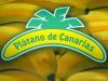 BananaEscudo.jpg