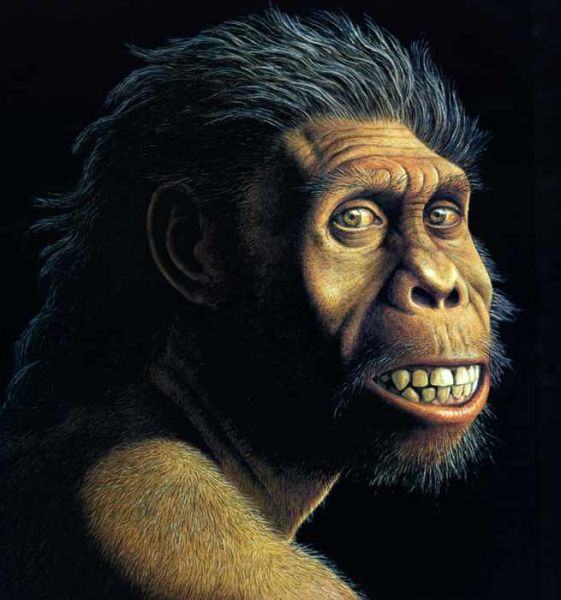 Archivo:Homo Sapiens.jpg