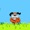 Duck hunt2.png