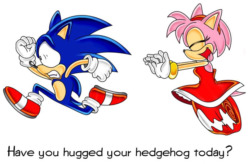 Archivo:Amy chasing Sonic.jpg