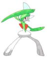 Gallade claro.jpg