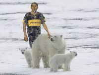 A falta de fotos de Osus polaris, pongo la de este pendejo tratando de robarles su polvito blanco a este grupo de osos.